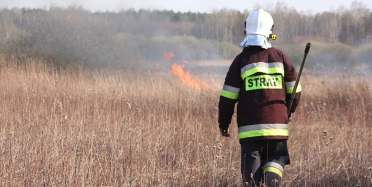 Pożar traw w Słomczynie. Mężczyzna ukarany mandatem