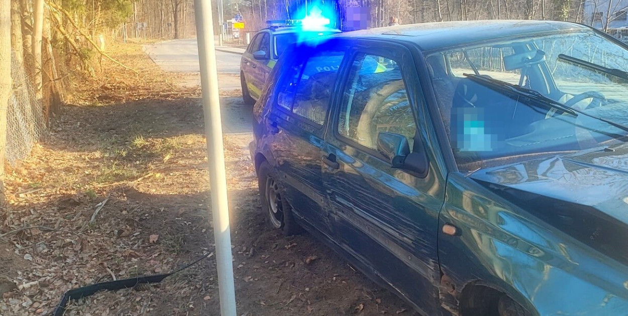 Plan nastolatka był prosty: zwalić winę na sarny