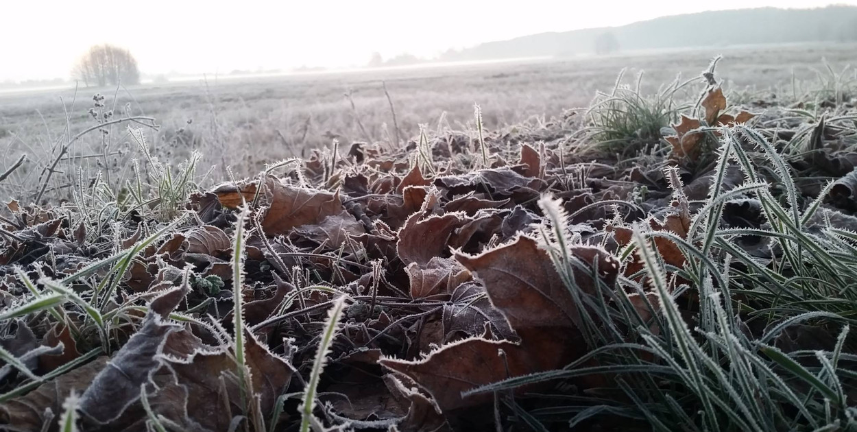 Ostrzeżenie meteo. Zima nie powiedziała ostatniego słowa