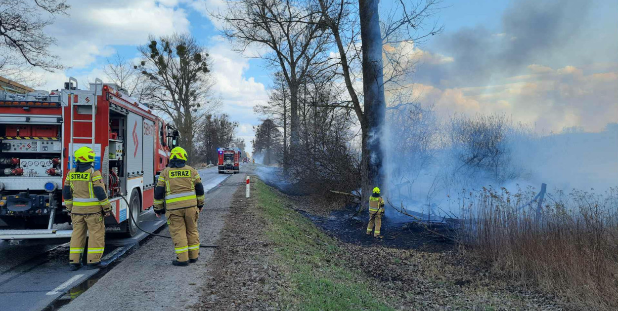 Pożar traw. Utrudnienia na trasie do DK79