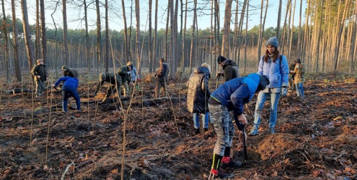 Sadzenie Lasu Dobrej Woli