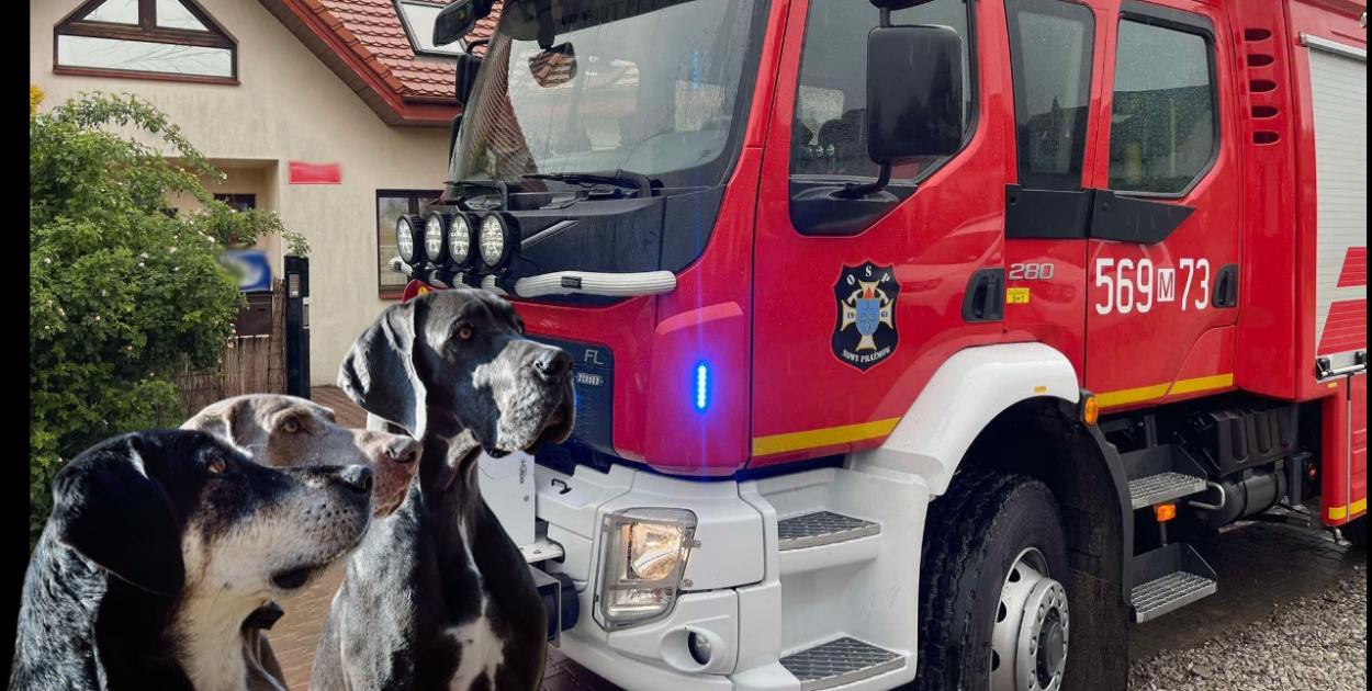 „Adoptuj psiaka ze strażakami”. Wyjątkowy piknik