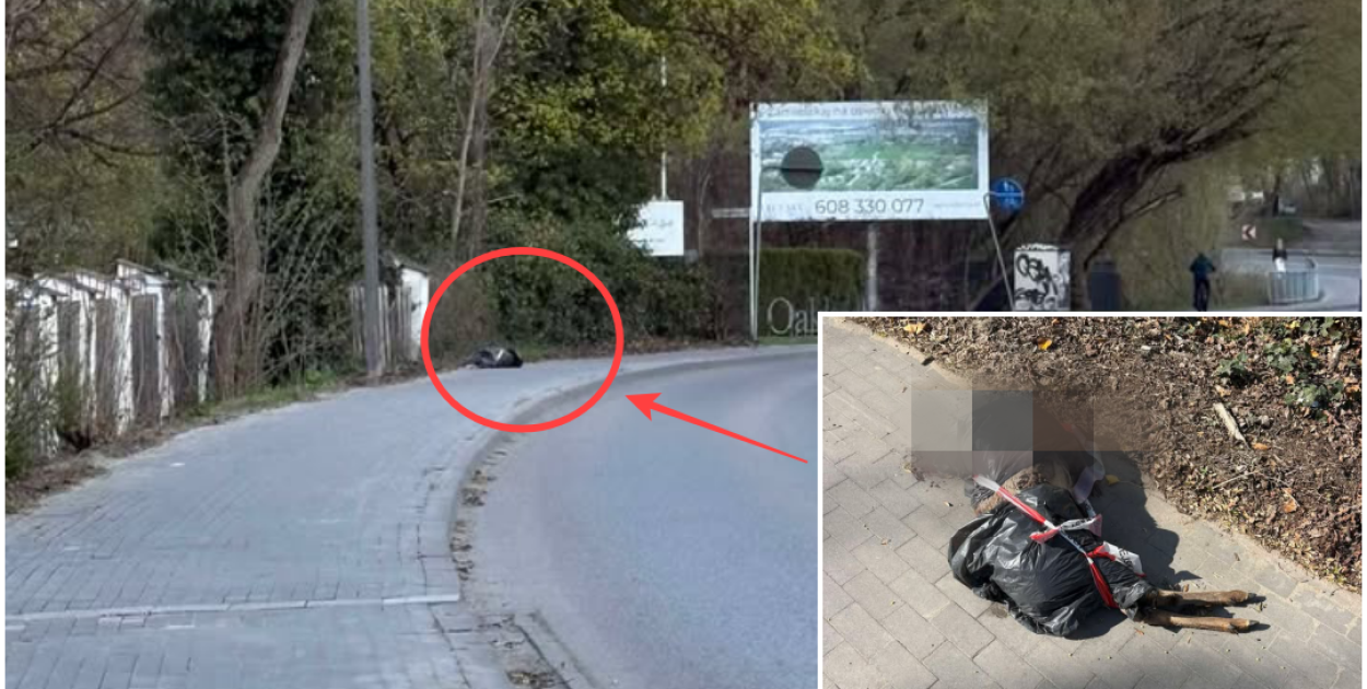 Makabryczne znalezisko w Chylicach. Zwierzę pozostawione na chodniku