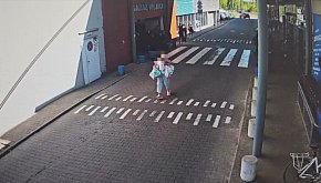 Zamiast uciekać – wtopiła się w tło! Złodziejka pr