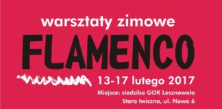 Warsztaty zimowe Flamenco