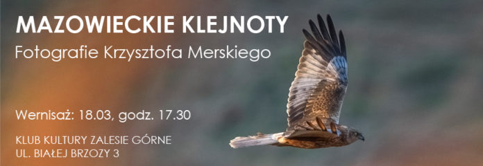 Fotografie Krzysztofa Merskiego