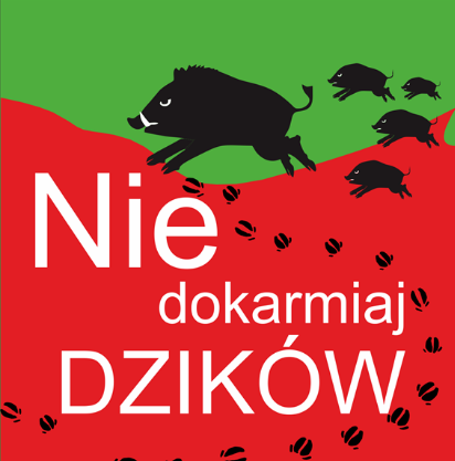 Nie dokarmiaj dzików!