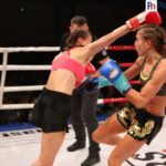 piaseczno-fight-night68