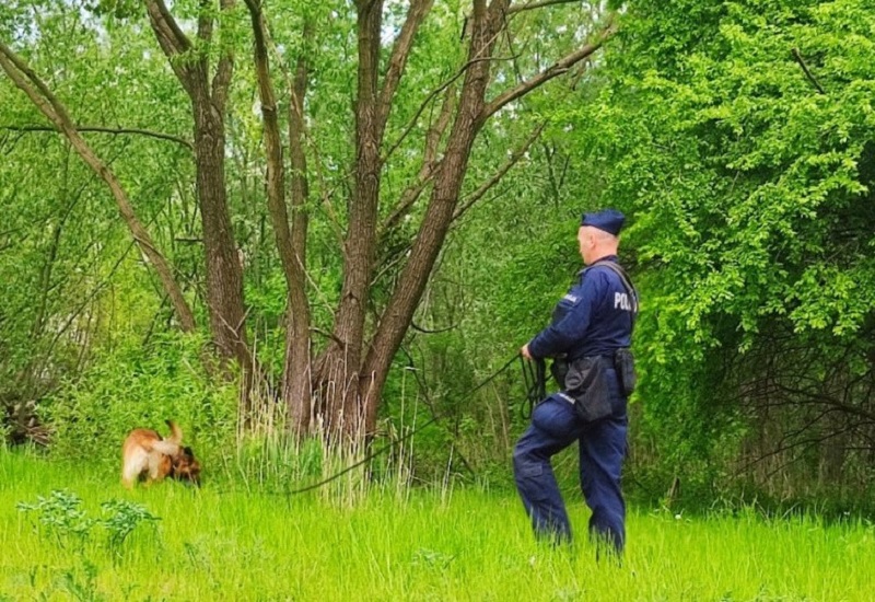pies-policjant-poszukiwanie-dziewczynki